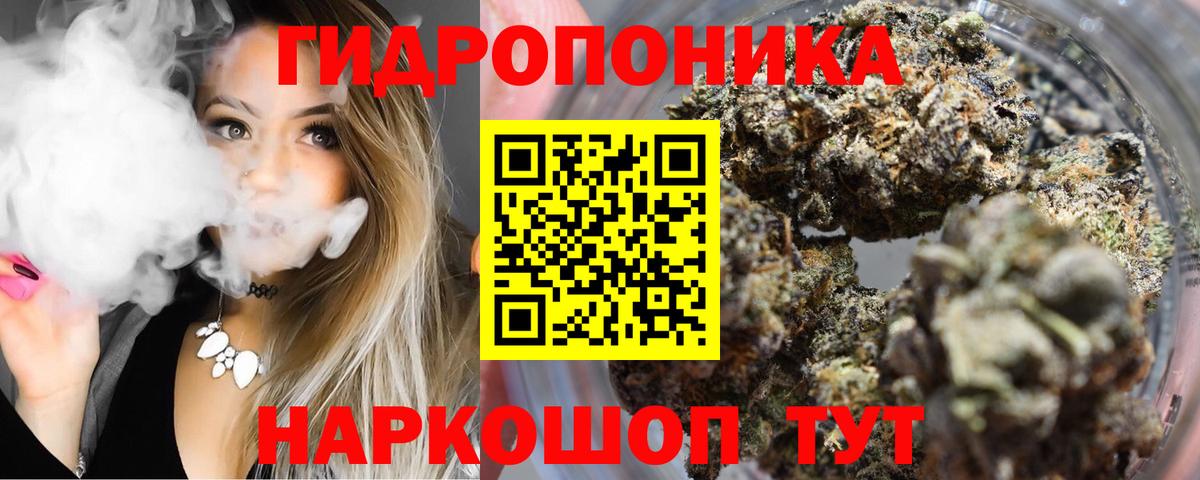 Каннабис конопля Кимры